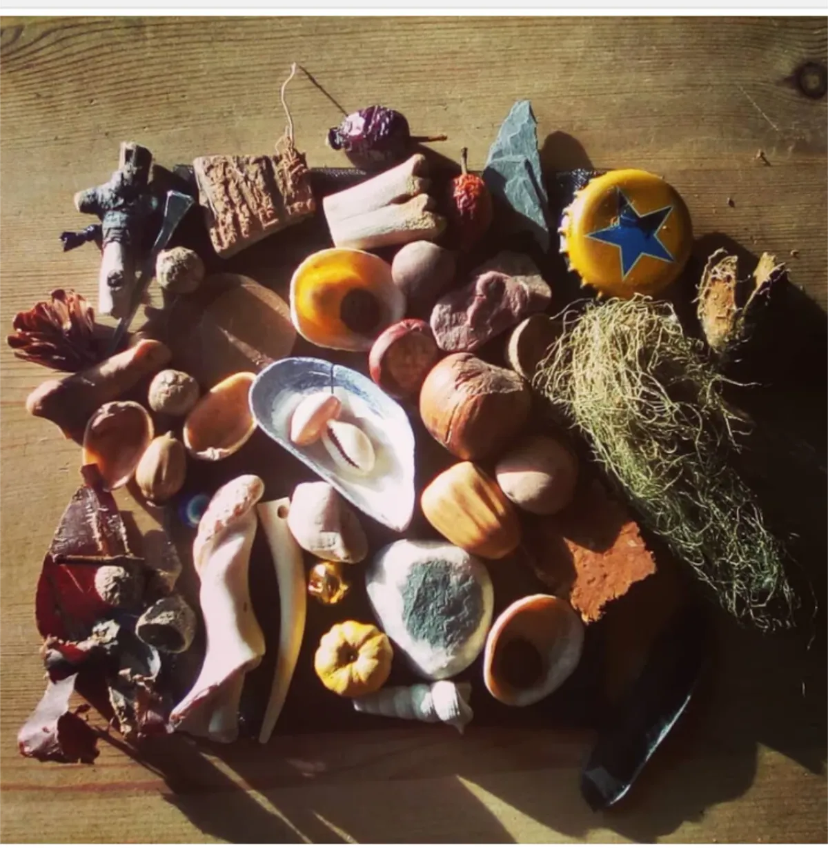 Bone Throwing Oracle Set -  bones curios ritual reading readers w