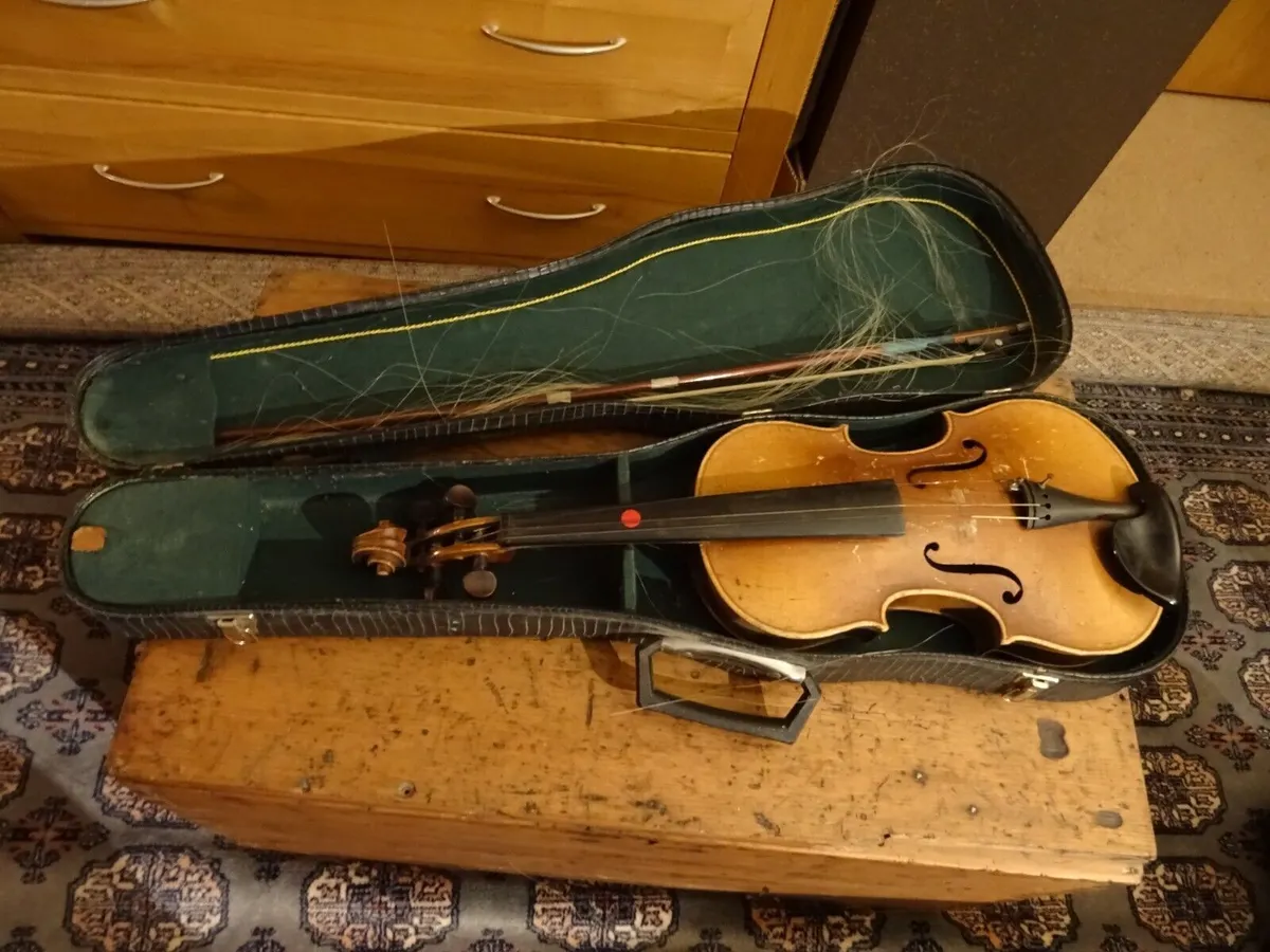 Old 4/4 violin in hard alligator skin case with bow and shoulder rest (1998 4w)