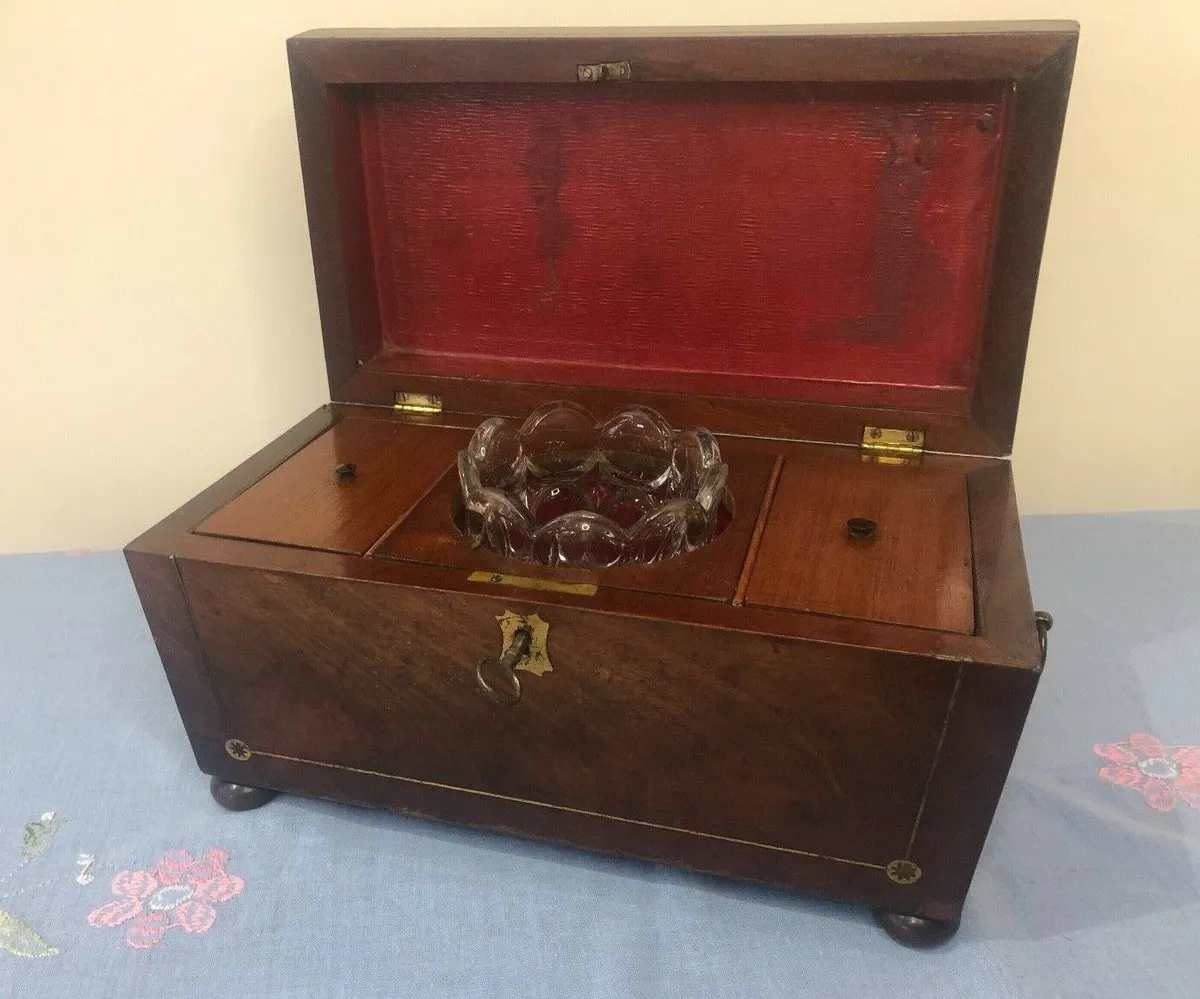 REGENCY BRASS INLAID CARVED FLAME MAHOGANY SARCOPHAGUS TEA CADDY C1830'S