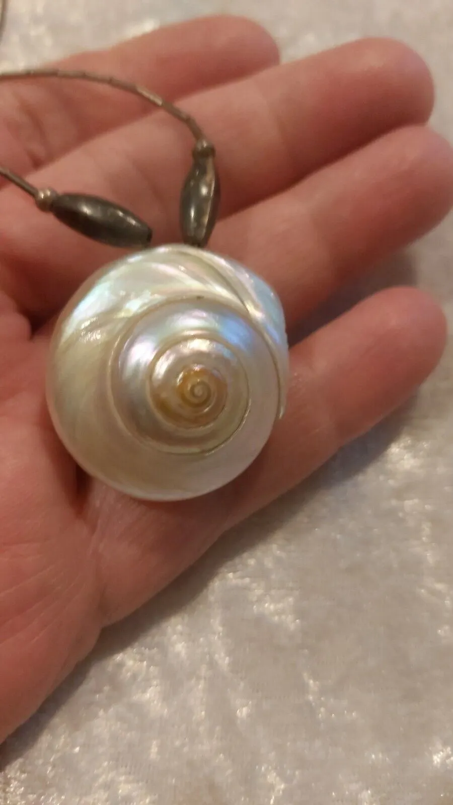 Vintage Native American liquid silver and whole shell 14 in choker necklace