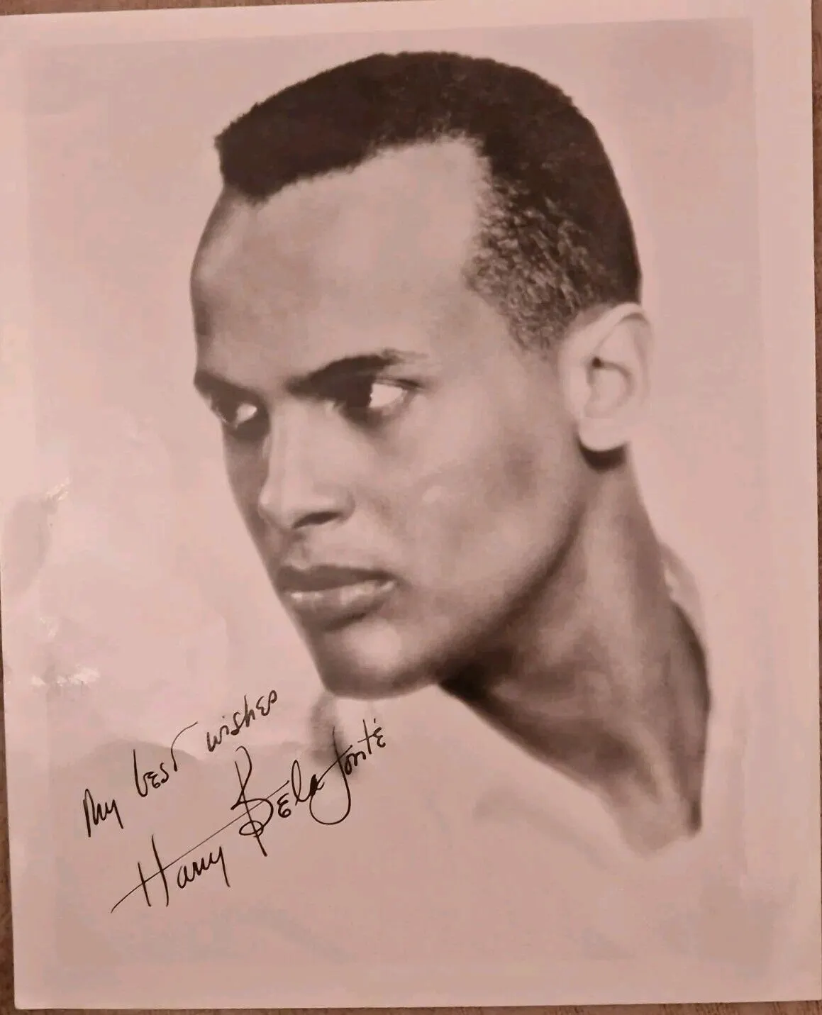 Harry Belafonte - Calyso Music & Civil Rights Legend signed photo 10x8 AFTAL COA