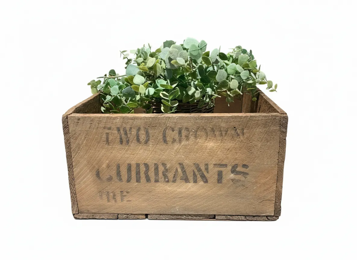 ANTIQUE Large Australian Mildura Dried Fruit Currants Wooden Advertising Crate