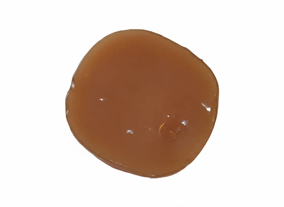 Organic Kombucha SCOBY & Strong Starter Tea Kit - Brew Your Own 1 Gallon