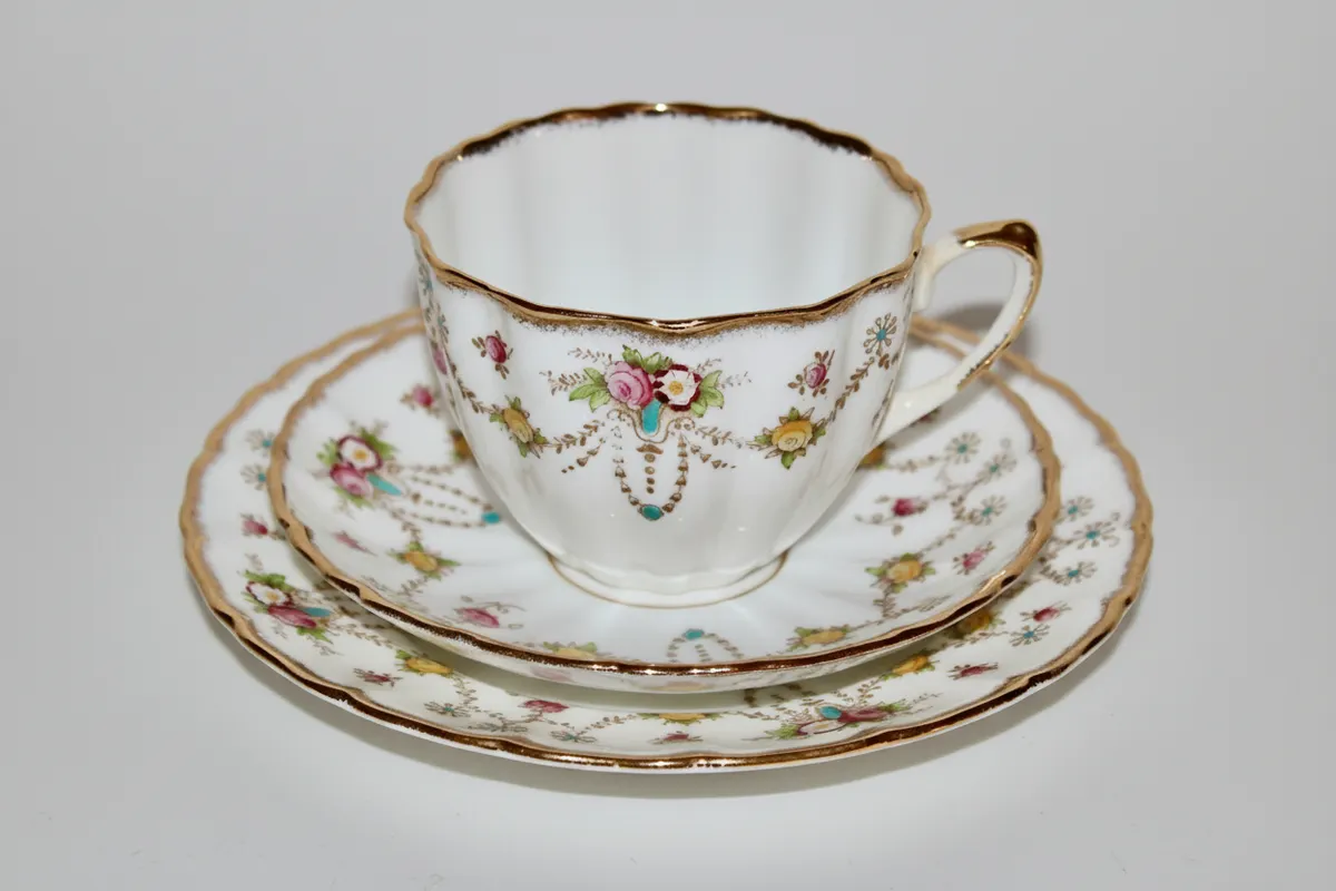 Salisbury Hand Painted Staffordshire Bone China Tea Set Trio 'Bow' Cup Plate