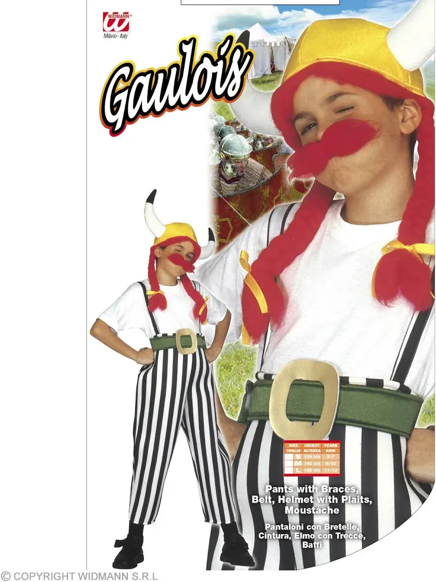 Chubby Gaulois Child Costume - Age 5-7