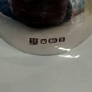 Sterling Silver Mother of Pearl Handles Spoons Cased Cooper Bros 1910