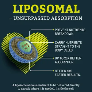 Solavica Liposomal Ubiquinol Vegan CoQ10 1000mg 60 Softgels New