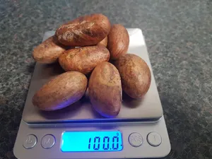 New Bitter Kola / Garcinia Kola Nuts - 100g Fresh From Nigeria African Herb