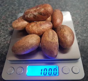 New Bitter Kola / Garcinia Kola Nuts - 100g Fresh From Nigeria African Herb
