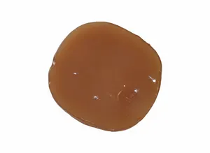 Organic Kombucha SCOBY & Strong Starter Tea Kit - Brew Your Own 1 Gallon