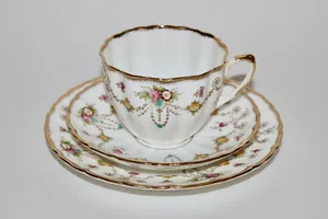 Salisbury Hand Painted Staffordshire Bone China Tea Set Trio 'Bow' Cup Plate