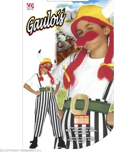 Chubby Gaulois Child Costume - Age 5-7
