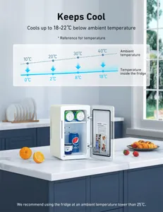 AstroAI Mini Fridge 6 Litre 8 Can AC/DC Portable Cooler Warmer for Bedrooms
