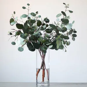 Preserved Eucalyptus Populus - Green X3